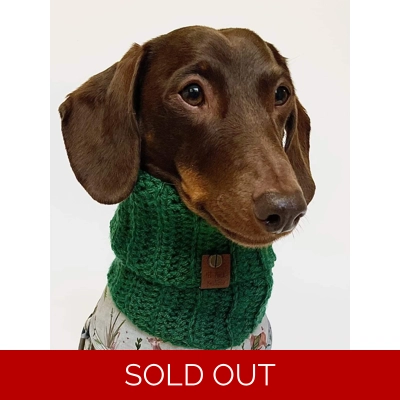 Clover Green Roll Top Dog Snood